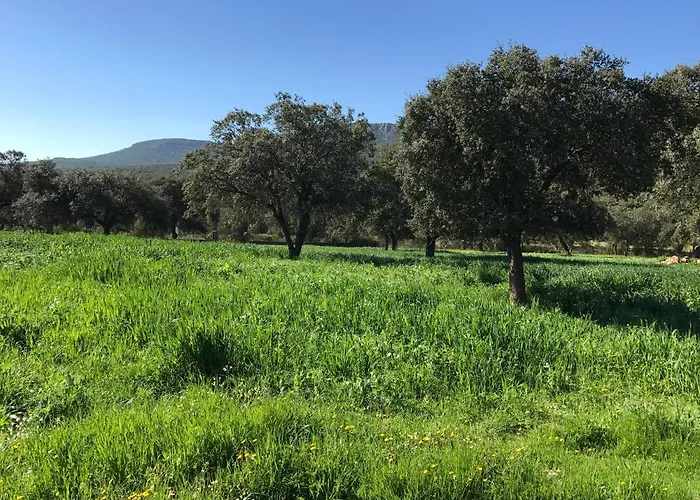 De La Sierra Grande Chalet *